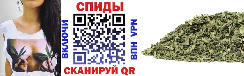 MEGA как зайти  Хотьково  Бутират BDO 33% 